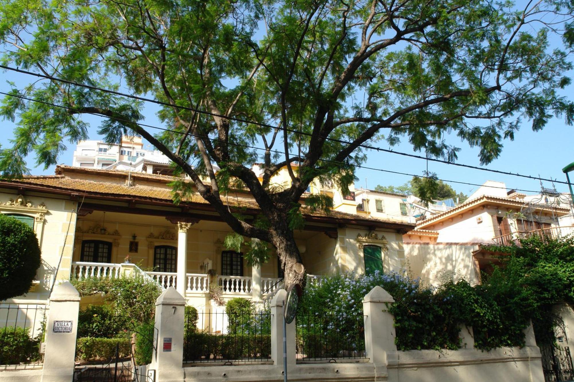 Tranquilo Y Centrico Apartamento 1 Dormitorio Málaga Dış mekan fotoğraf